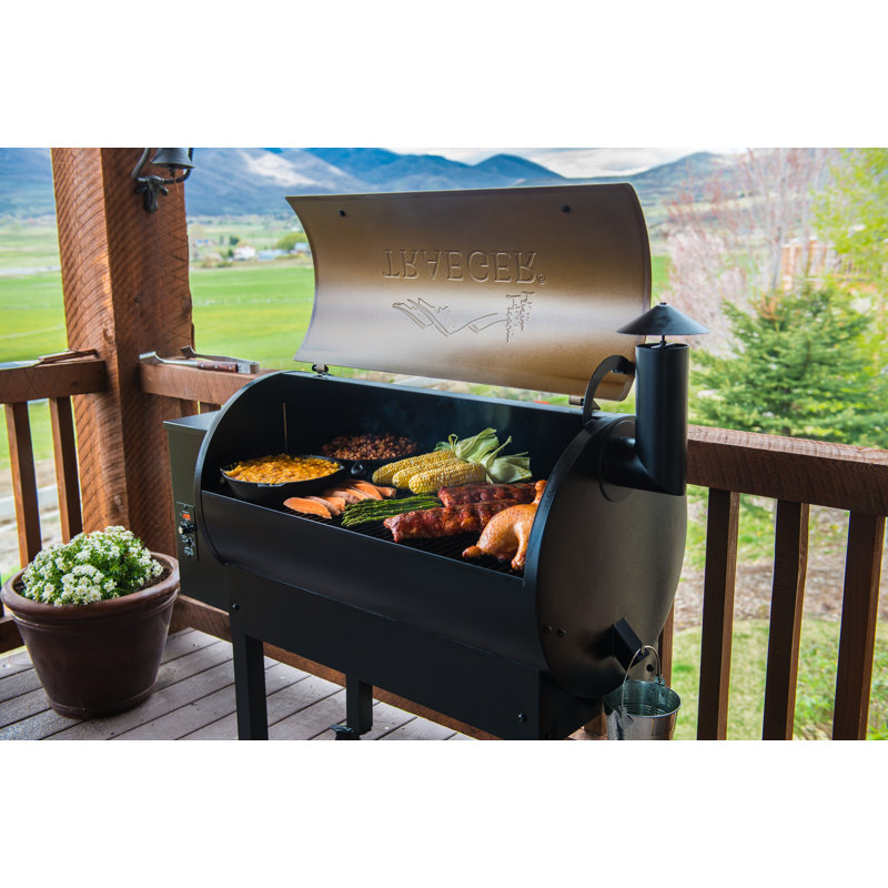 Traeger Part Texa Schematic - Complete Wiring Schemas